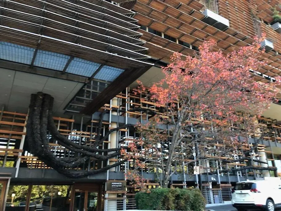 Green Rose ~ Peaceful • Green • Haven Apartment Canberra